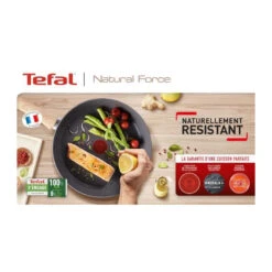 Faitout Aluminium 24cm + Couvercle Et Panier Vapeur - G2669002 - Tefal